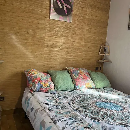 2 Pieces 4 Couchages Port Naturisme Pl010-830 شقة